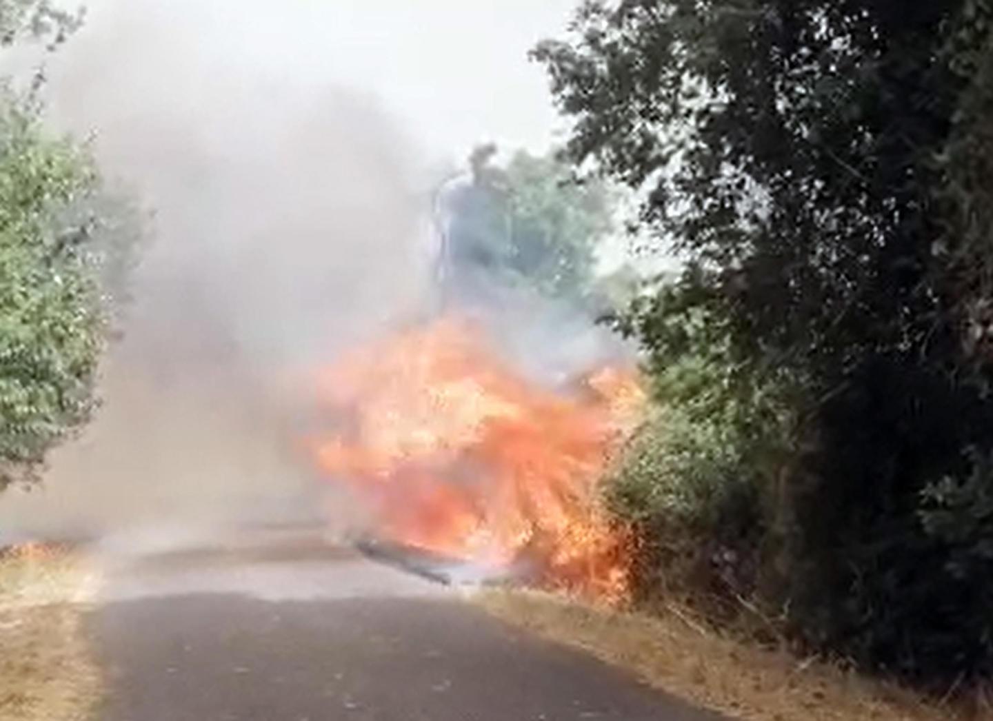 Sardegna Vasto Incendio Evacuati 25 Bambini Di Un Campo Estivo E 48 Scout