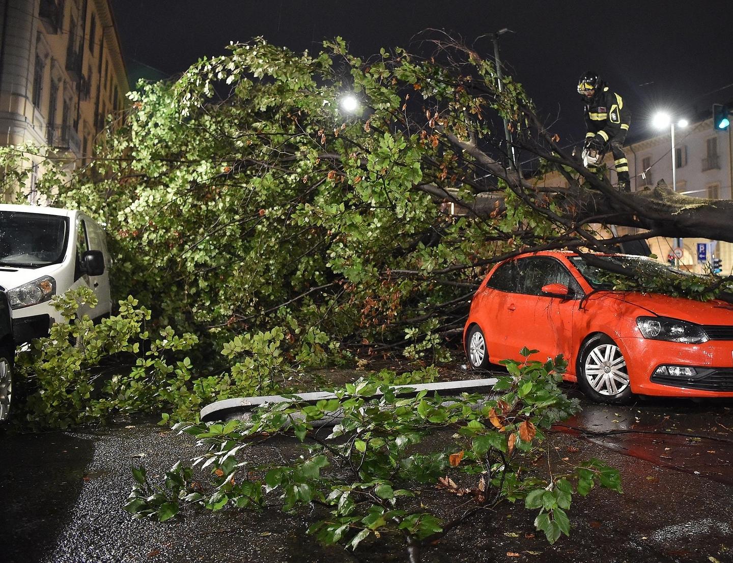 Maltempo Si Abbatte Sull Italia Torino Alberi Abbattuti Ferita Donna