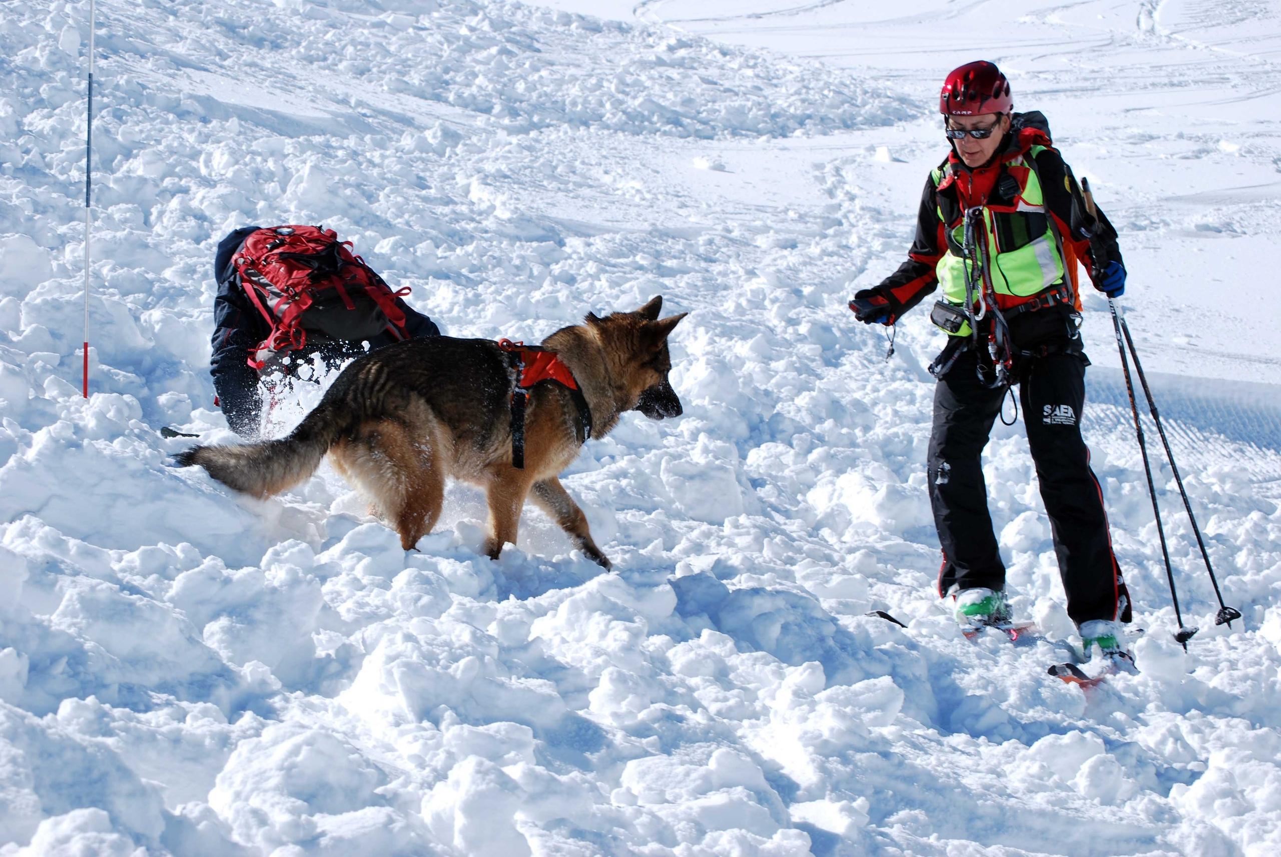 Valanghe In Montagna Un Morto E Feriti