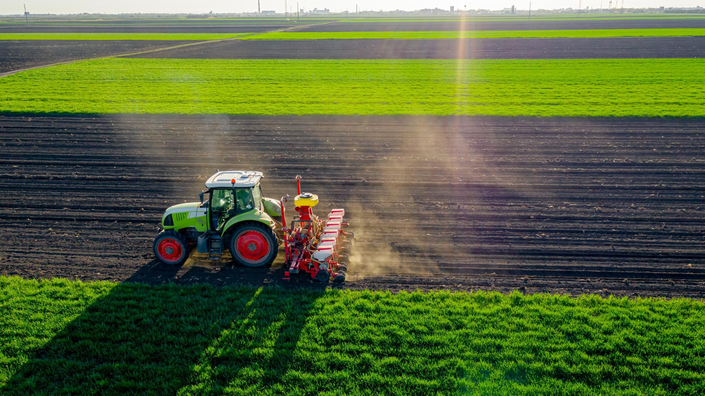 Banca Nazionale Delle Terre Agricole I Terreni Coltivabili Da