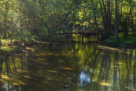 La sorgente del fiume Bosna nell'omonimo parco