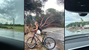 Cervia e Milano Marittima, nubifragio: alberi caduti e bagni danneggiati