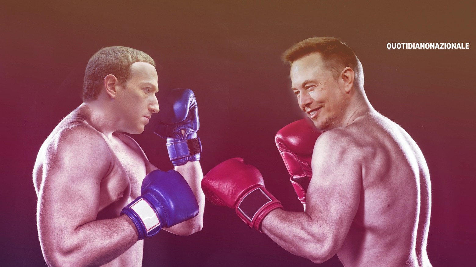Zuckerberg e Musk nel montaggio fotografico si affrontano come due pugili