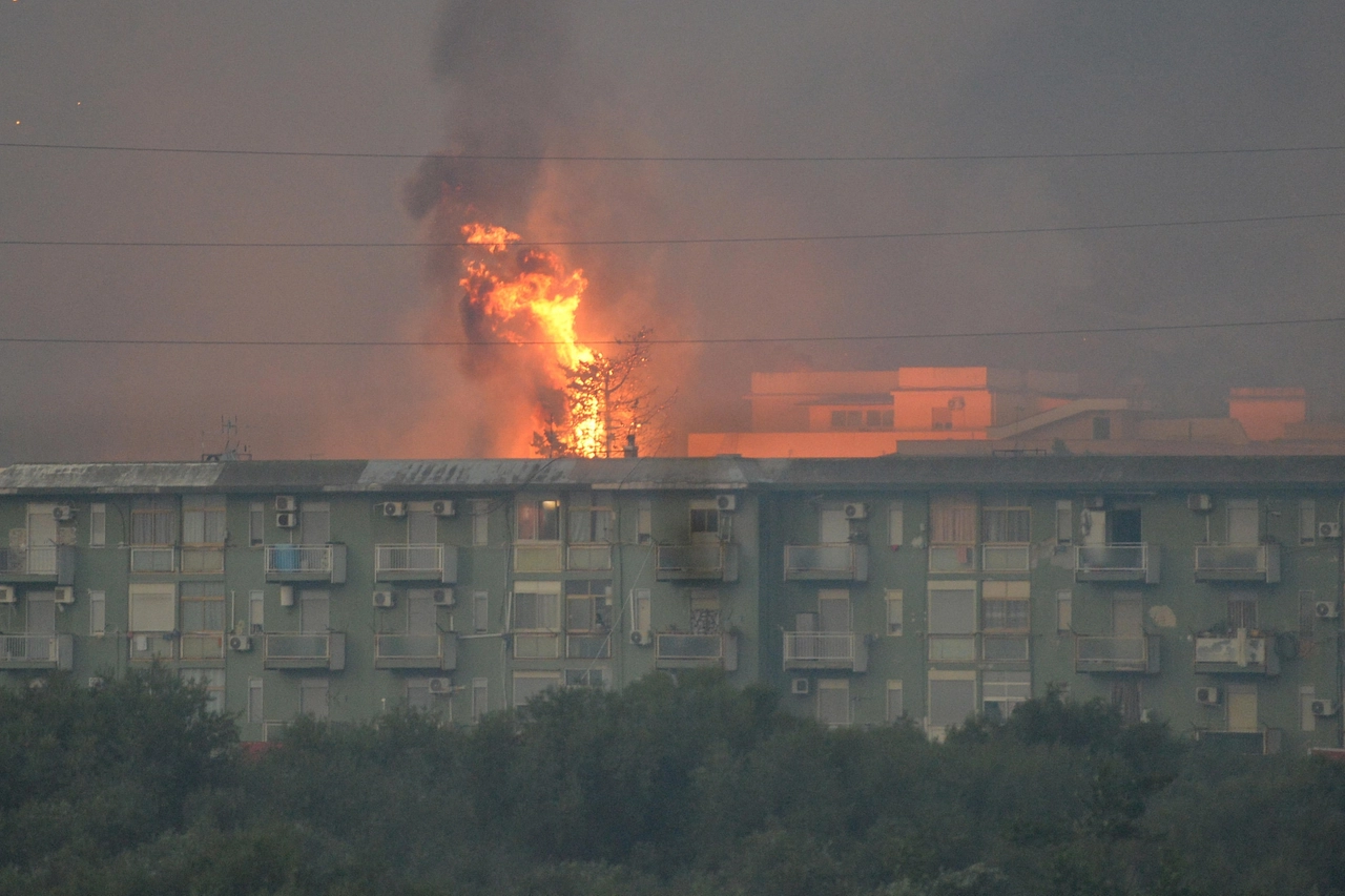 Palermo devasata dagli incendi (Ansa)