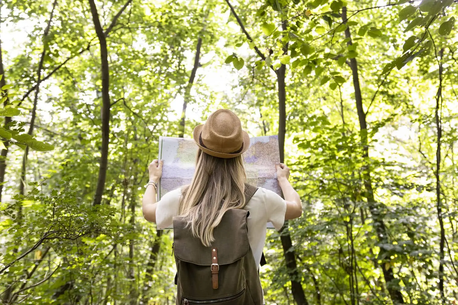 Le mete ideali per un viaggio sostenibile