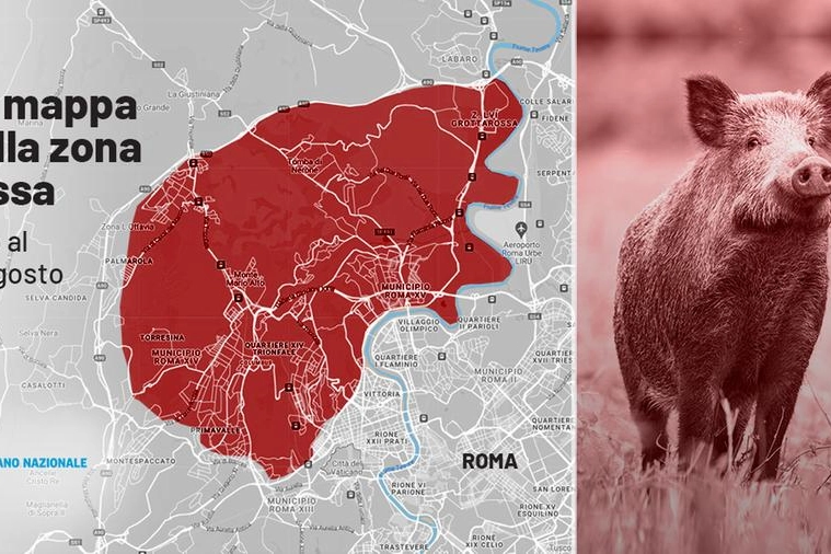 La mappa della zona rossa 