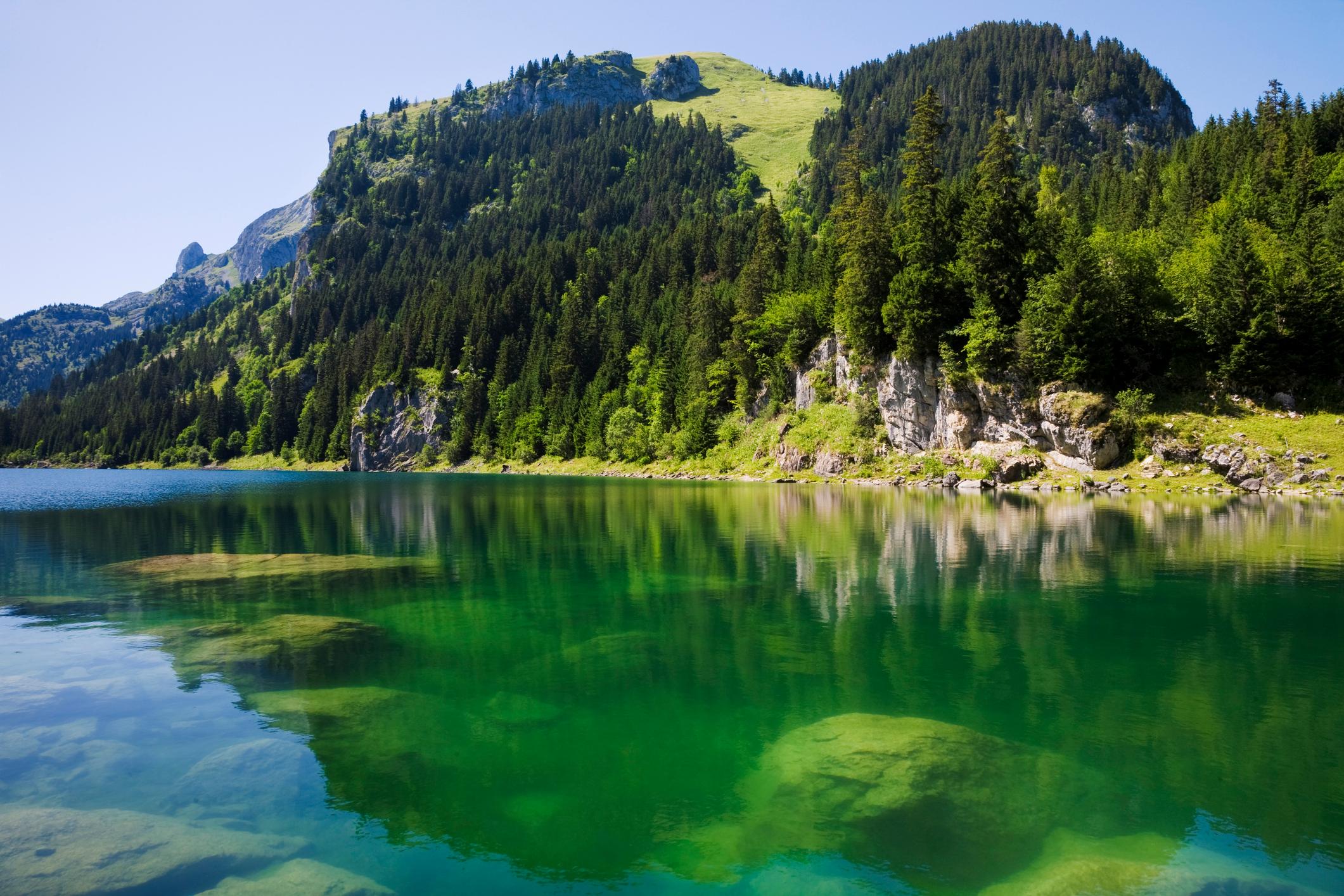 Svizzera Italiano Muore Durante Immersione Nel Lago Ghiacciato Taney