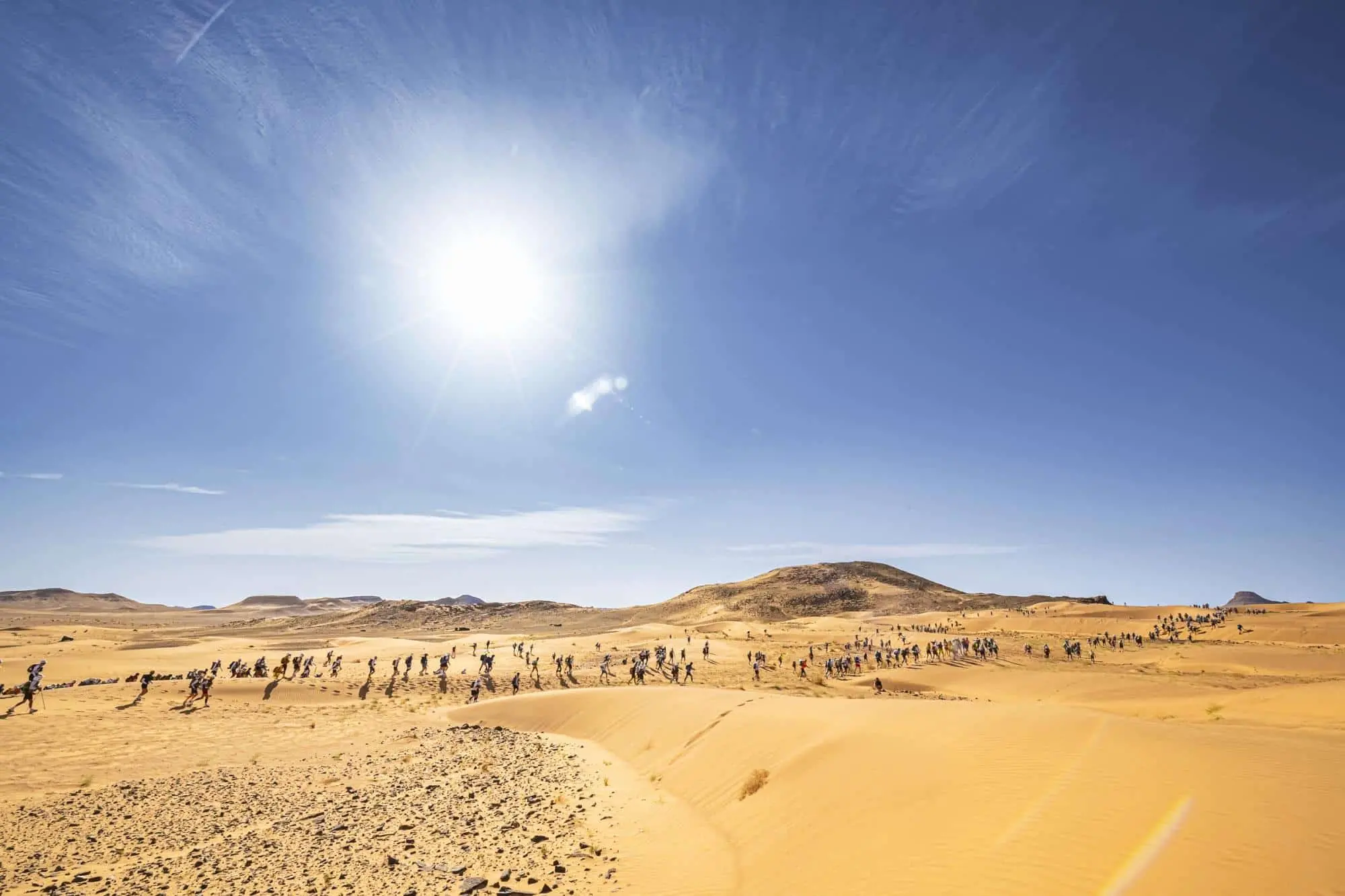 Marocco, un 2024 ricco di eventi suggestivi: fiere, fioriture e festival nel deserto