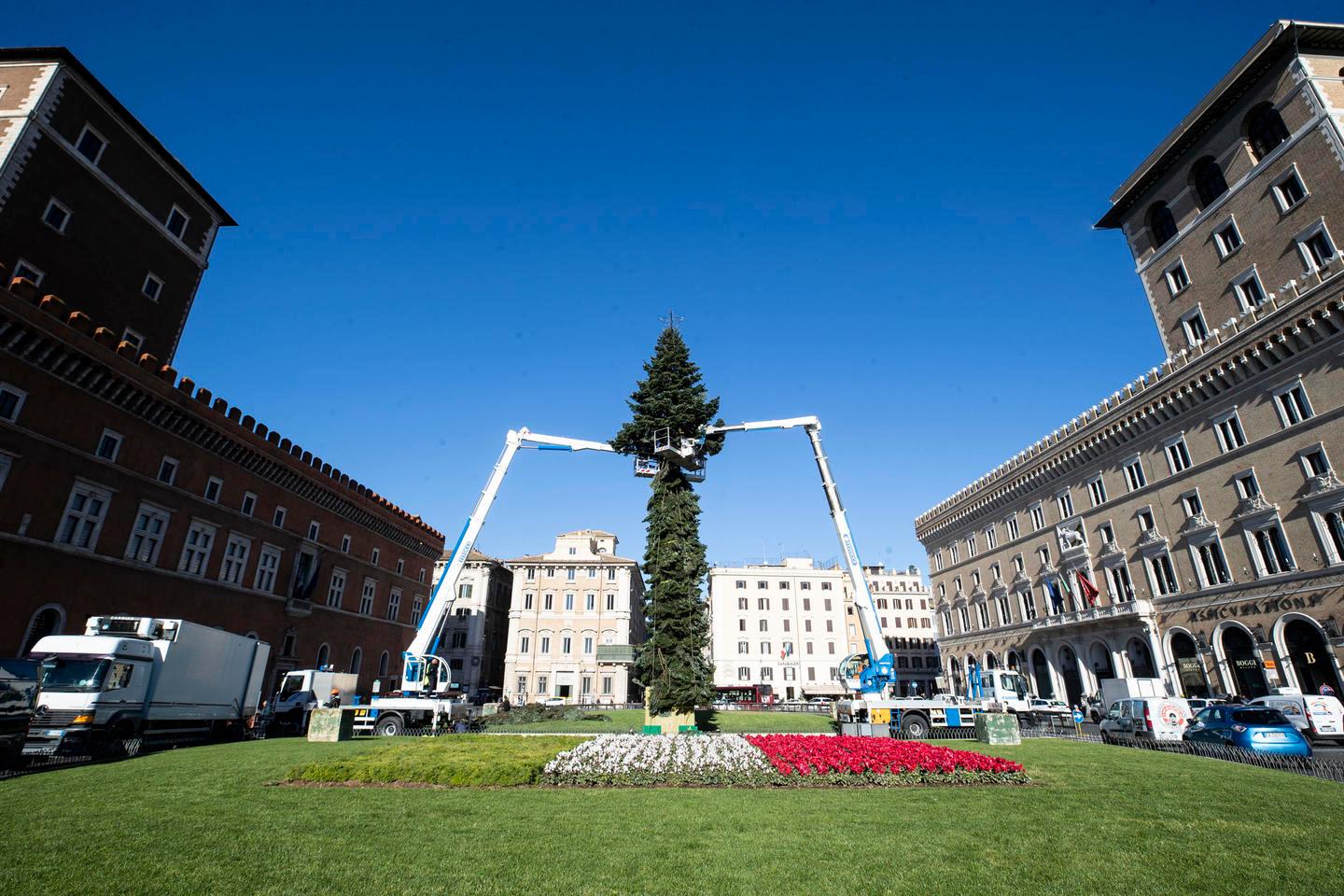 Roma, l’albero di Natale in piazza Venezia, con i doni della Fao