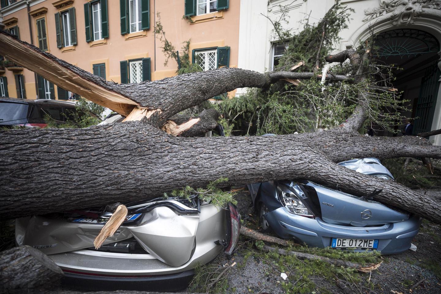 Ecatombe Maltempo In Un Mese Si Contano Morti