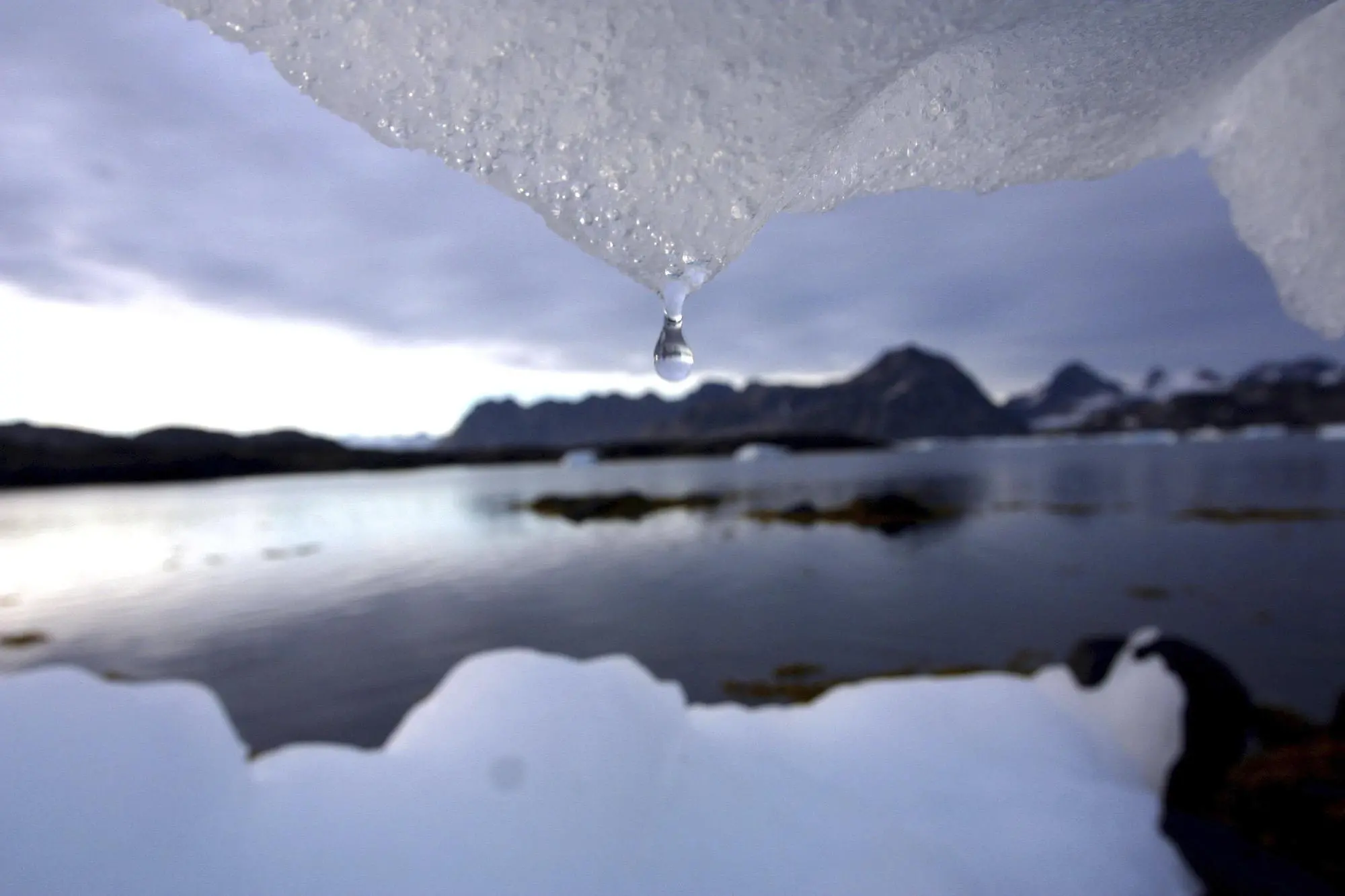 Cambiamenti climatici, l'appello di 16 Paesi (anche dell'Italia): "Agire ora o mai più"