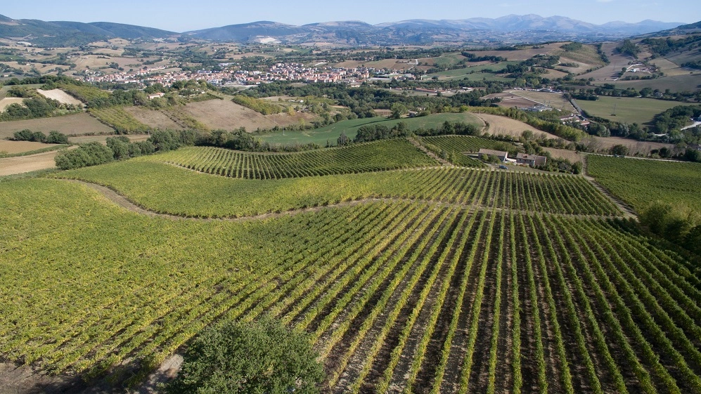 Sapori e tradizione: evviva le Marche