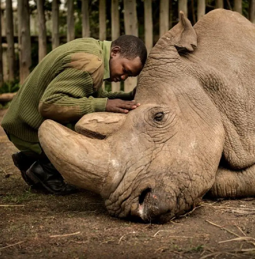 Rari, fantastici, letterari: semplicemente animali