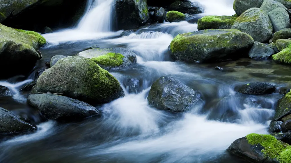 I suoni della natura alleviano lo stress e il dolore