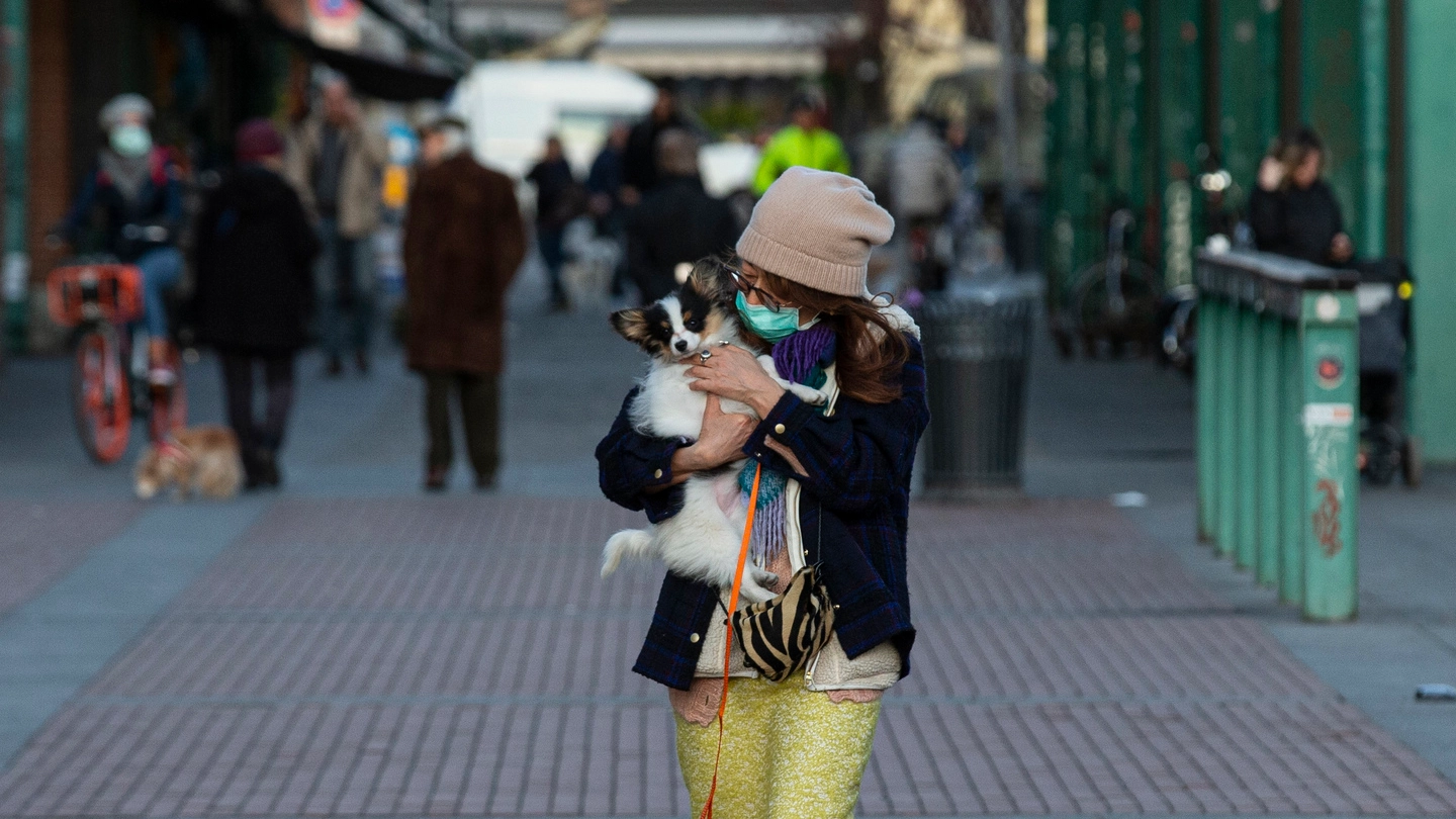 Coronavirus a Milano (Ansa)