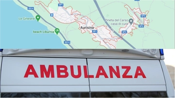 Trieste, nuovo giallo: corpo senza testa in un bosco del Carso. E’ il cadavere di Cinzia Pecikar, scomparsa a ottobre?