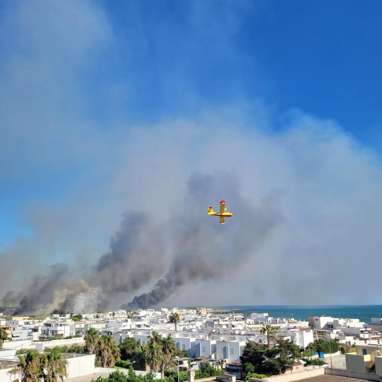 Incendio a Torre Mozza, brucia la pineta di Ugento (Ansa)