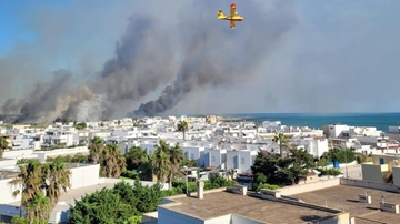 Incendio a Torre Mozza, fuga dei bagnanti dalla pineta di Ugento. Paura per i villaggi turistici