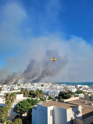 Incendio a Torre Mozza, fuga dei bagnanti dalla pineta di Ugento. Paura per i villaggi turistici
