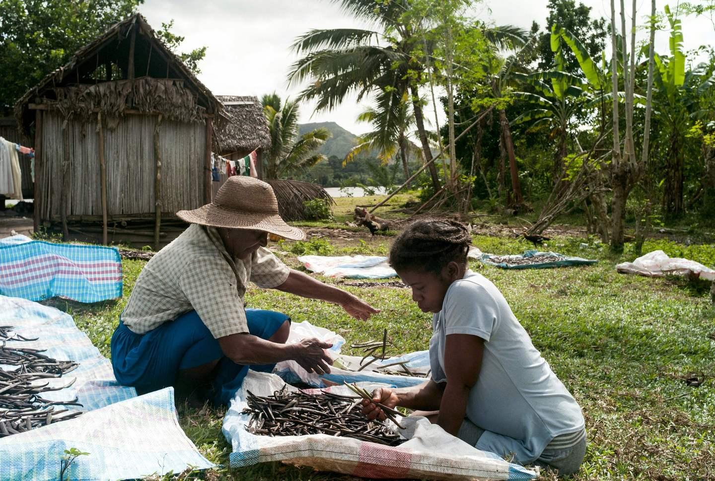 Un Ciclone Nel Madagascar Fa Schizzare Il Prezzo Del Gelato Alla Vaniglia