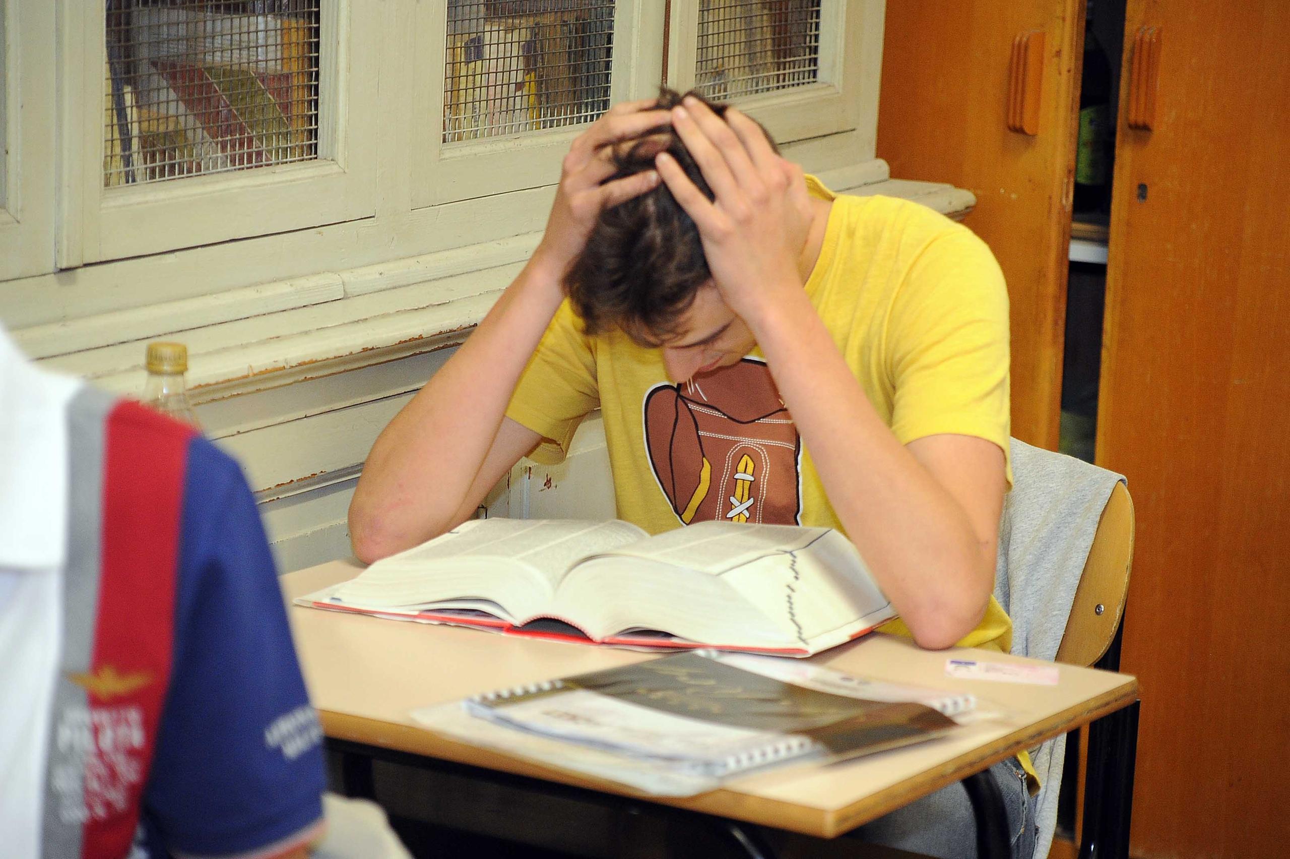 Maturità 2017, I Cinque Tipi Di Studente