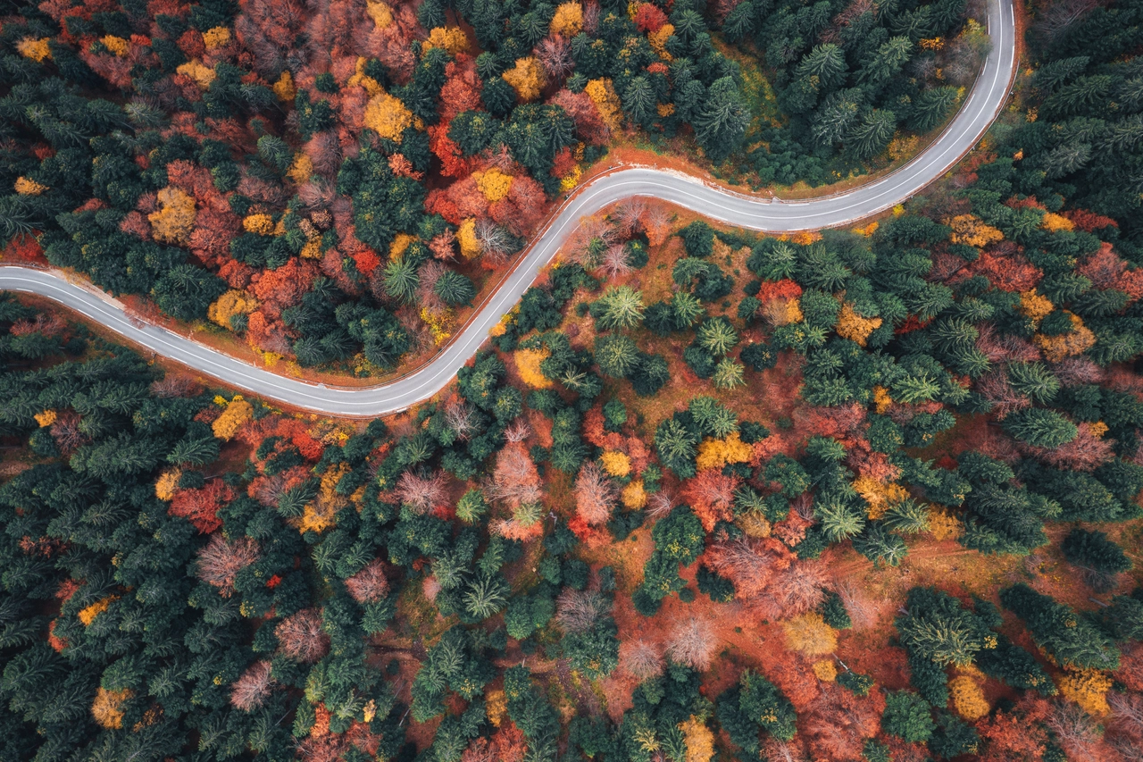 Foliage 2023 in ritardo: l'esperto spiega perché e cosa dobbiamo aspettarci