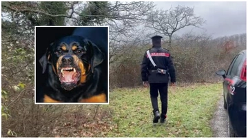 Sbranato dai rottweiler a Manziana, l’avvocato dei proprietari dei cani: “Il cancello era chiuso, nessun allevamento clandestino”