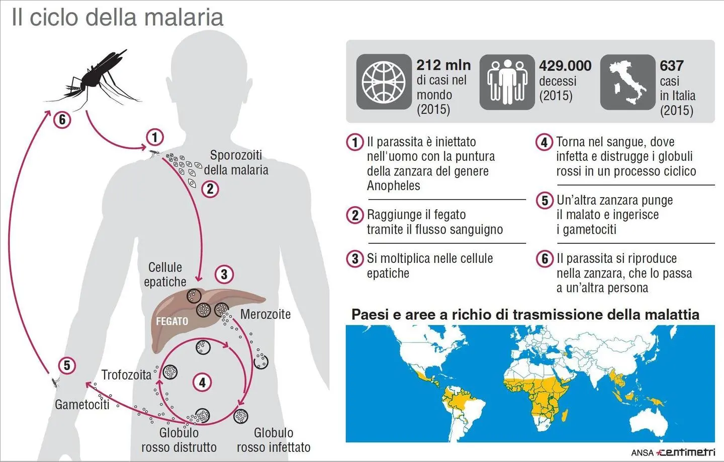 Malaria, l'esperto: "Dall'Africa tornano malattie sparite"