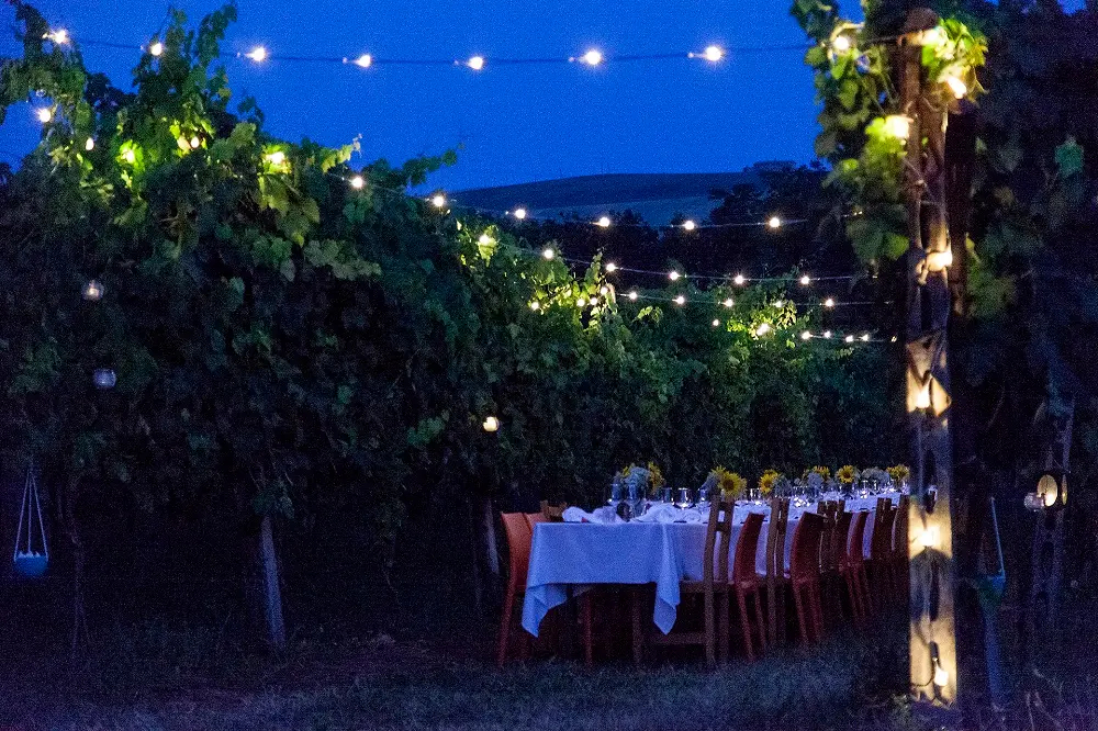 Picnic e cene in vigna, sapori di condividere