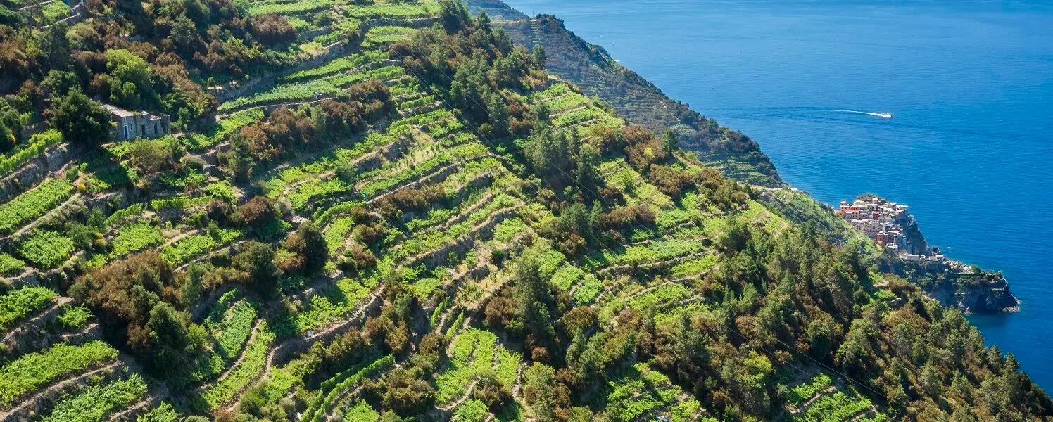 Liguria, i muretti a secco caratterizzano la regione in lungo e largo