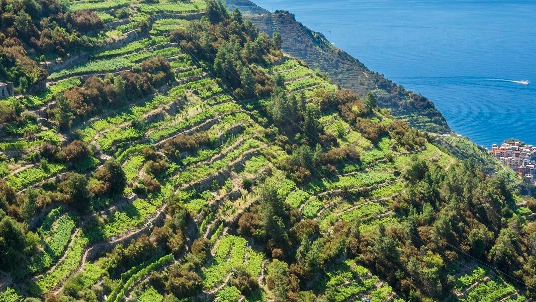 Liguria, i muretti a secco caratterizzano la regione in lungo e largo