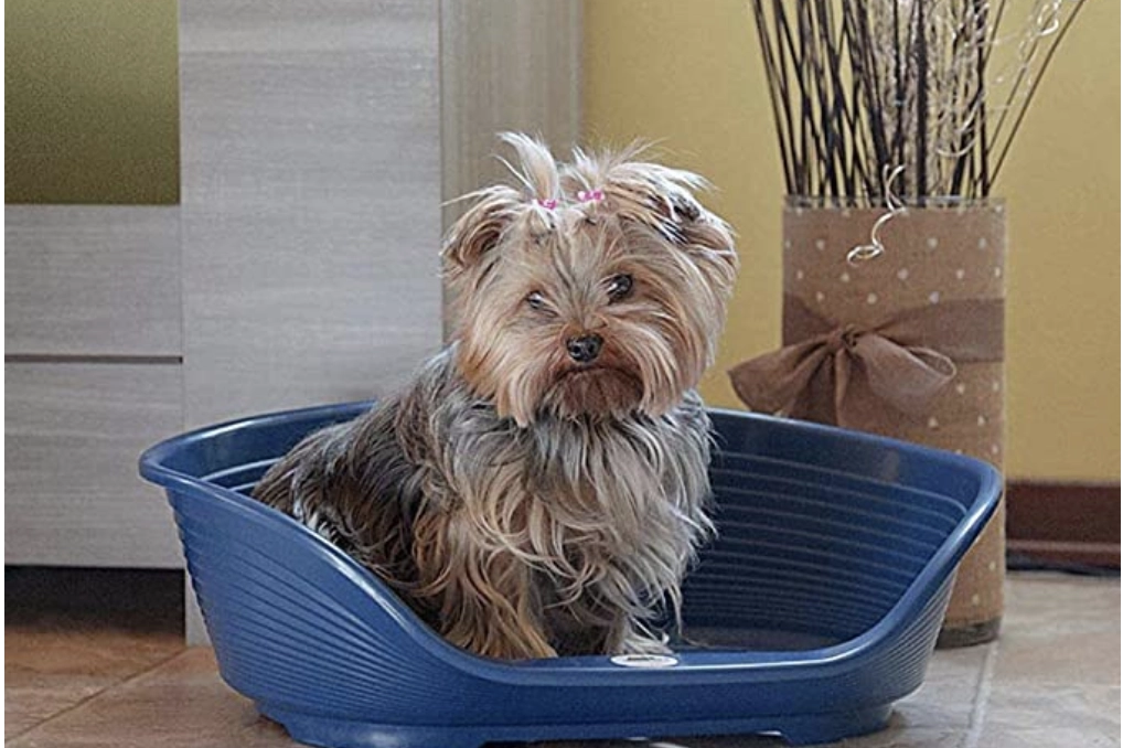 Ferplast Cuccia in Plastica per Cani e Gatti su amazon.it