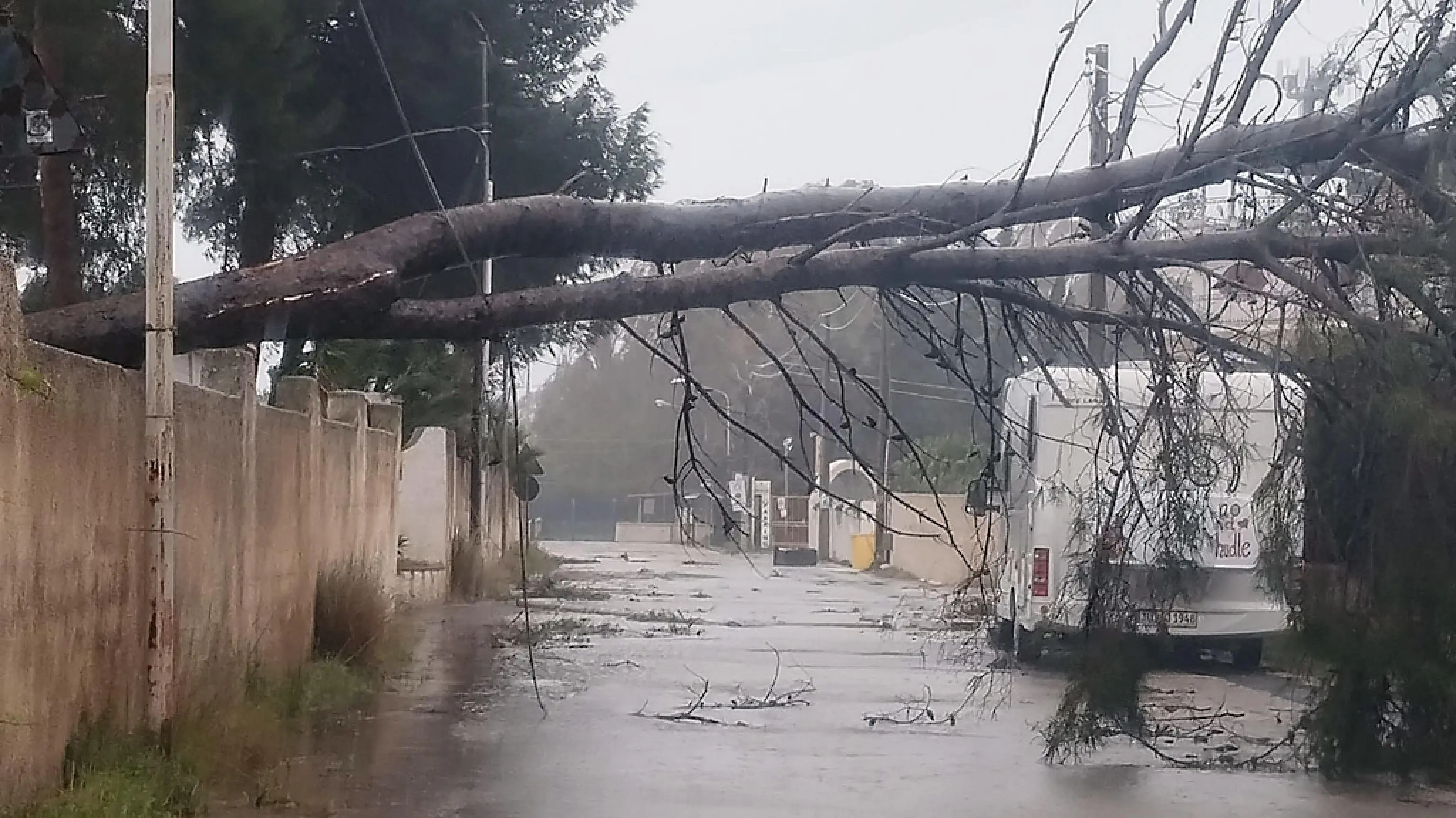 Maltempo Campania, allerta gialla dalle 6 di domani con grandine e vento: dove e orari