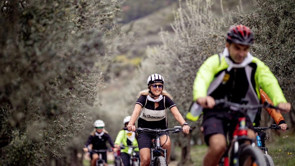 Una grande pedalata lungo gli ulivi tra Assisi e Spoleto per inaugurare Frantoi Aperti