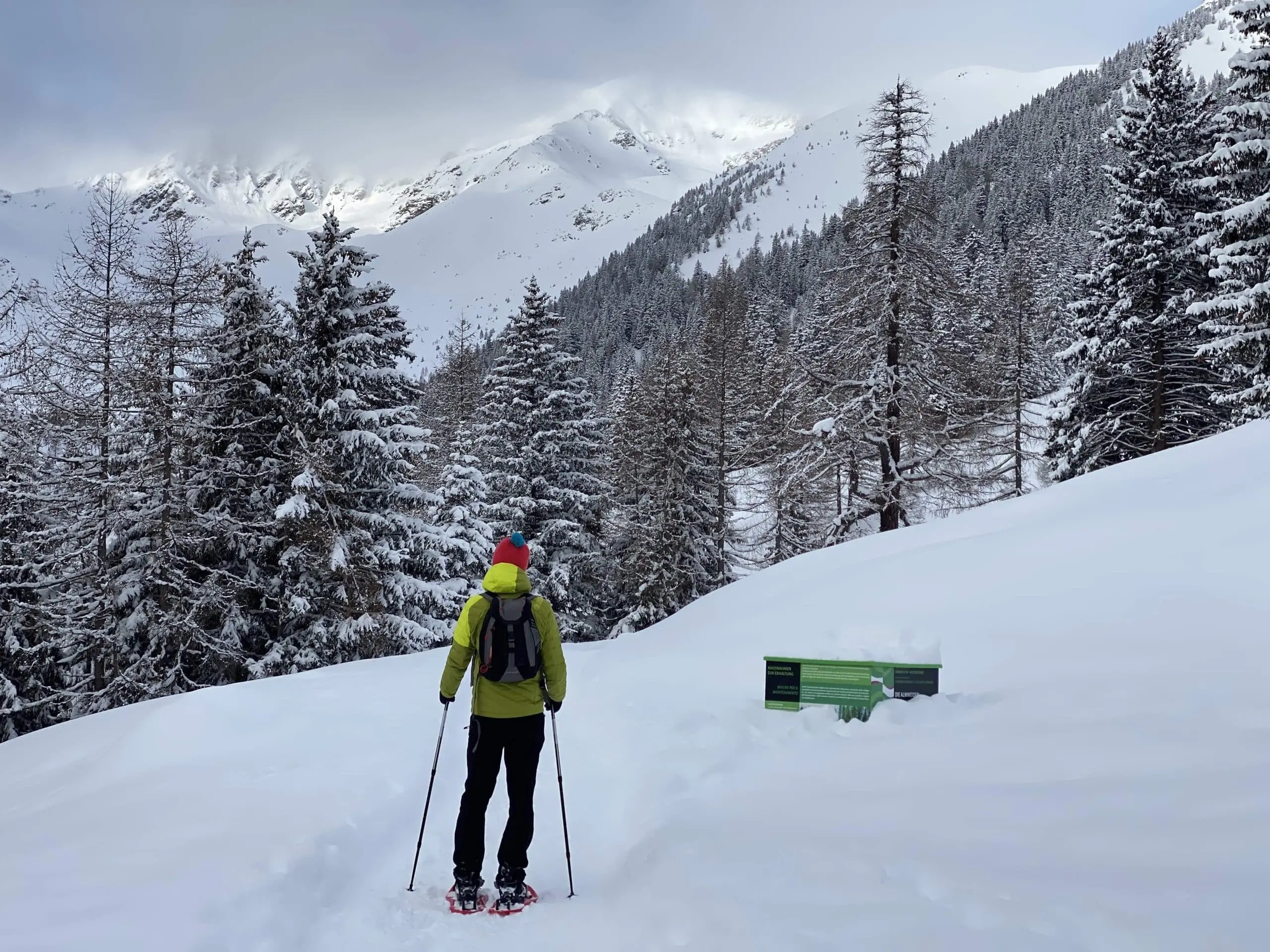 Trentino, in Val di Non si ciaspola con la guida alpina ogni weekend