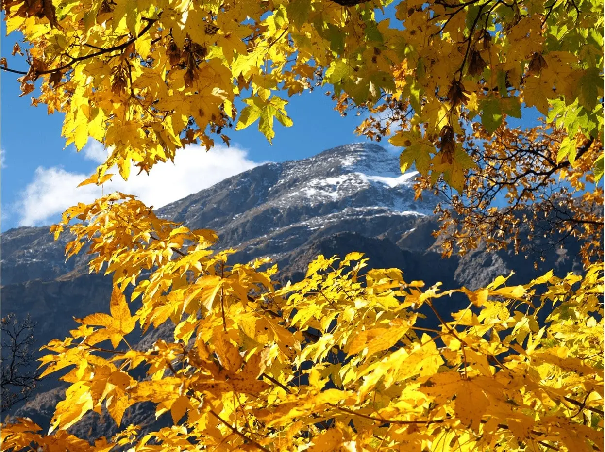 Monte Rosa, itinerari d'autunno lungo sentieri dorati