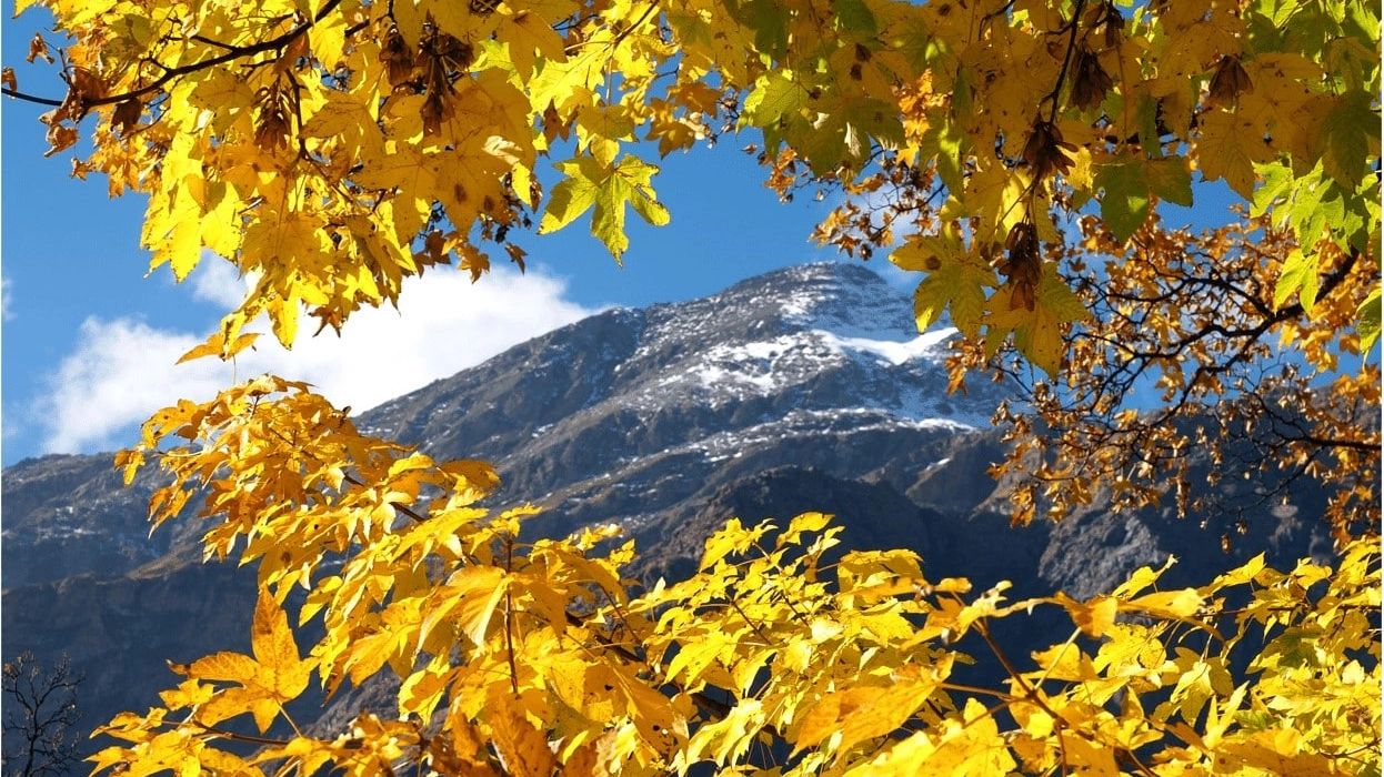 Monte Rosa autunno