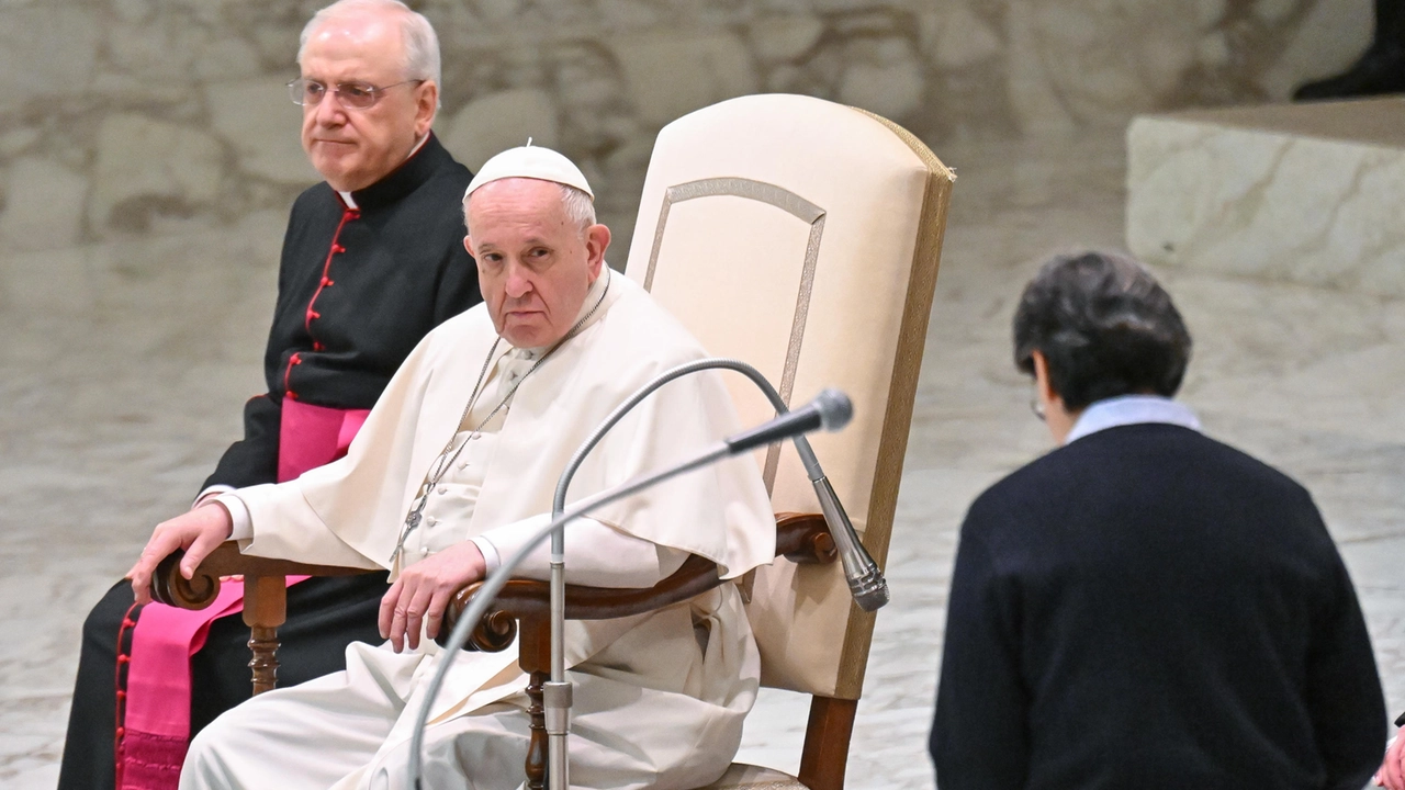 Papa Francesco all'udienza generale (Ansa)