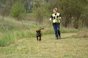 Storia di Bobo, il boxer cieco che fiuta le persone scomparse. L’istruttore: “Ecco cosa imparo dai miei cani”