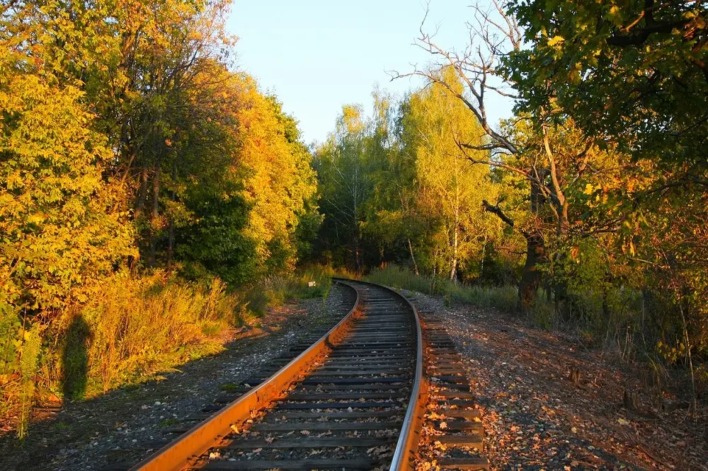 Ecco 5 treni del foliage per scoprire l’Italia in autunno