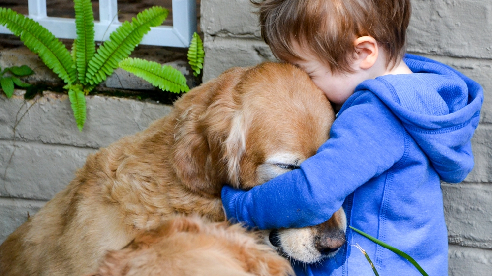 Cane e padrone (iStock)