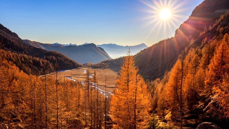 Foliage, in Valtellina le mille sfumature dell’autunno