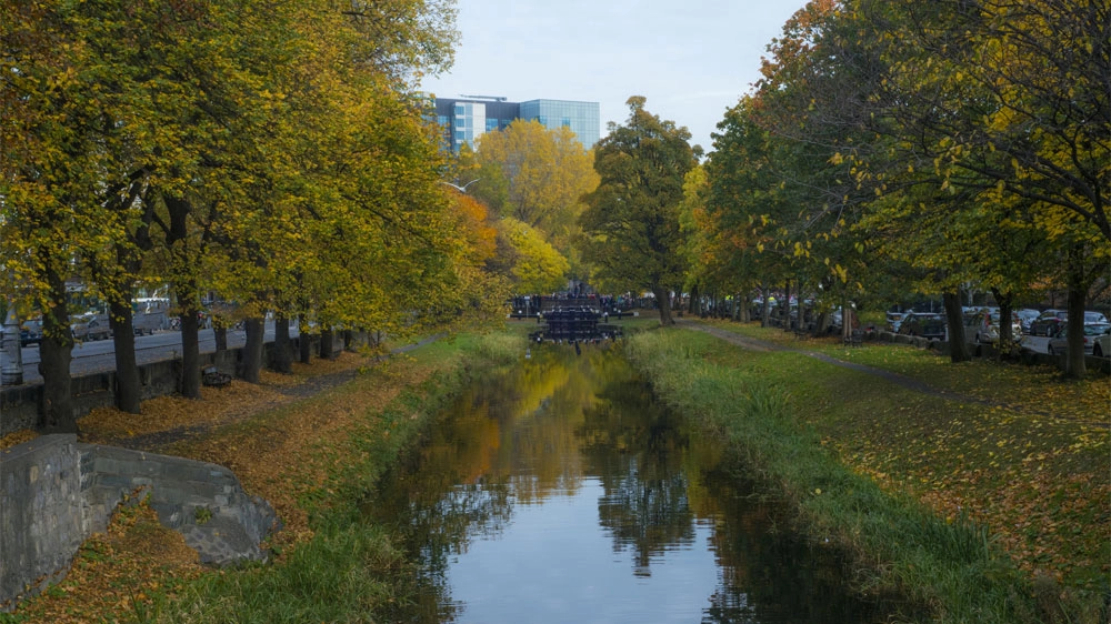 Foto: levers2007/iStock