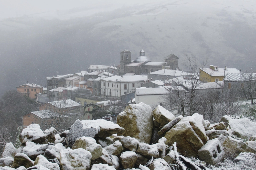 Neve (Fotowebgio)