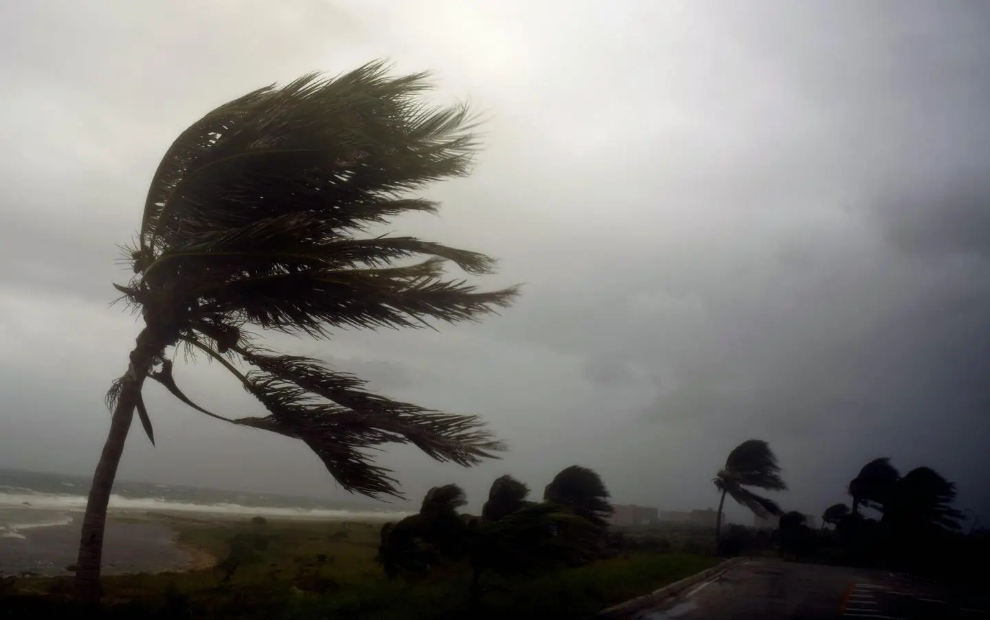 Uragano Irma è in Florida, venti a 215 km/h. Trump: "E' un grande mostro"