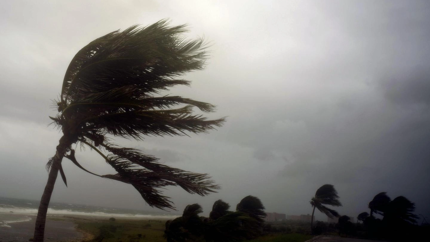 Uragano Irma (Ansa)