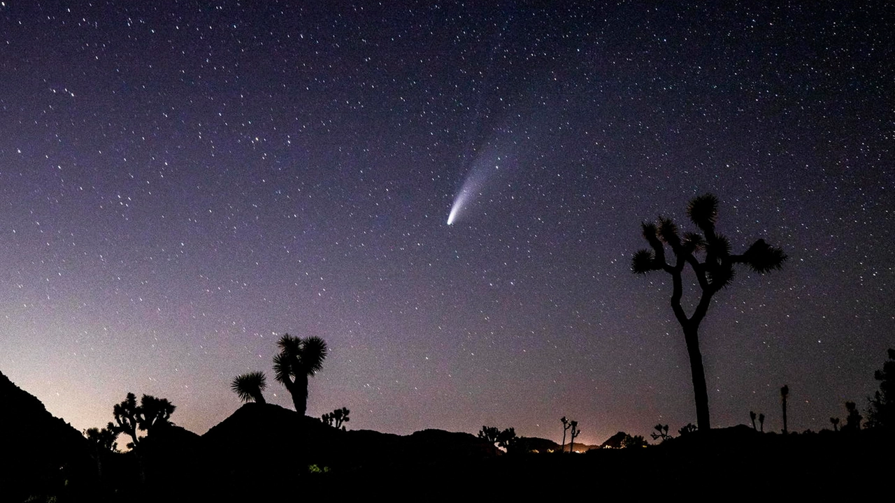 Cometa Neowise (Ansa)