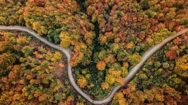 Foliage nell’Oasi di Ermenegildo Zegna, straordinario esempio di mecenatismo ambientale