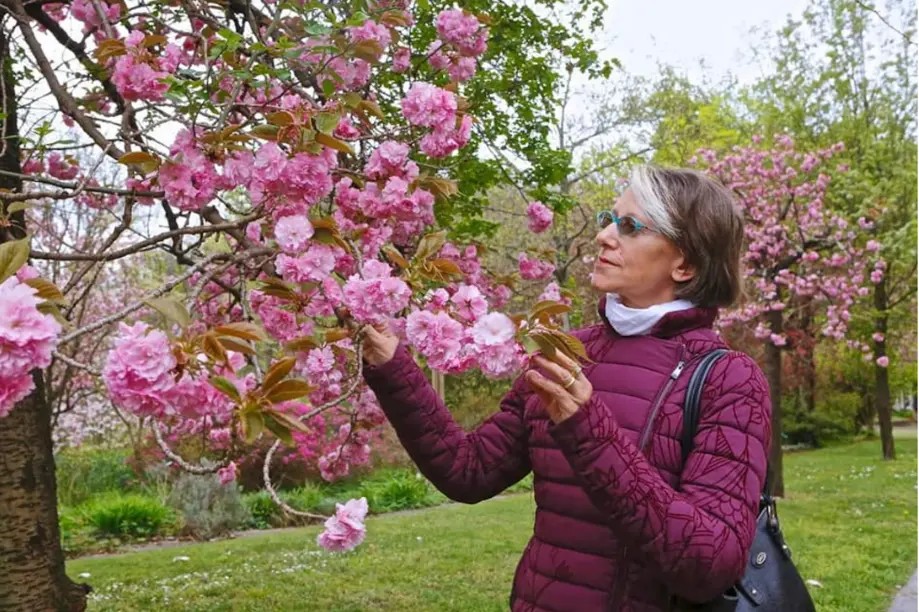 Liliana Resinovich scomparsa, il marito: "Spero non sia lei"