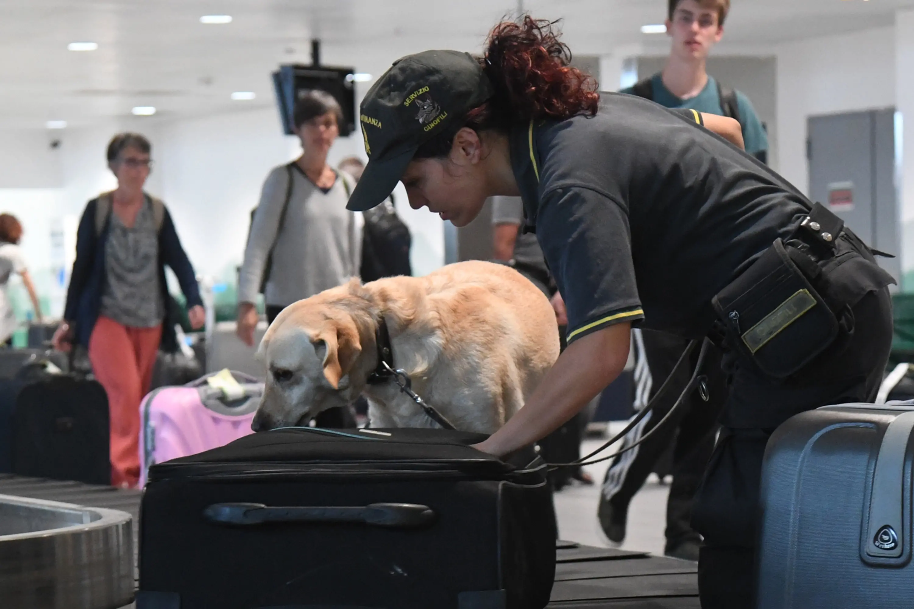 Aeroporto Napoli, documenti falsi nascosti in valigia: due passeggeri arrestati